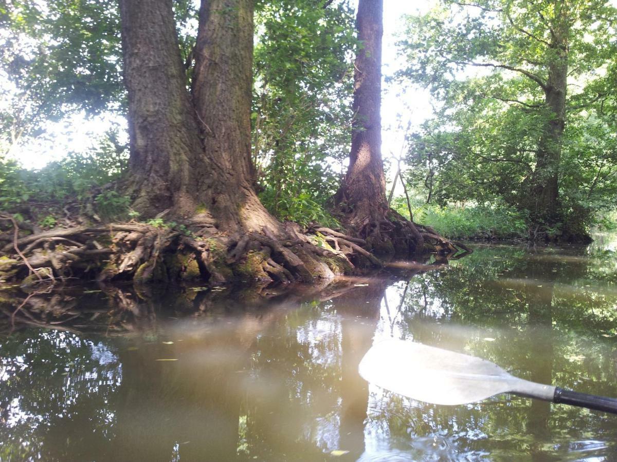 Doppelzimmer im Spreewald Burg  Exterior foto