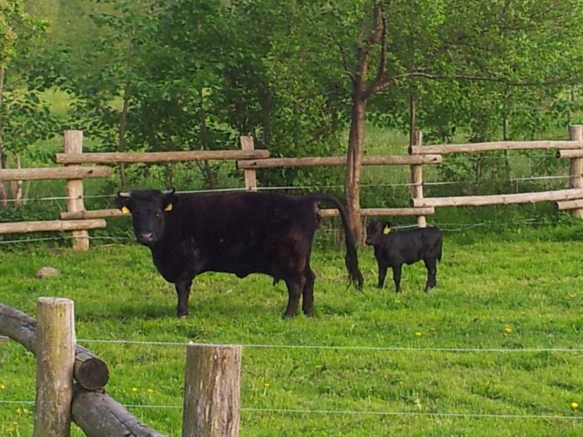 Doppelzimmer im Spreewald Burg  Exterior foto